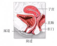 导致阴道炎发生的原因有哪些