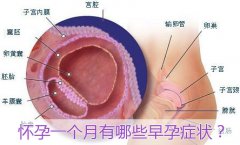 怀孕一个月的症状有哪些