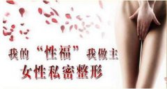 女性生殖整形