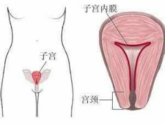 子宫内膜增厚